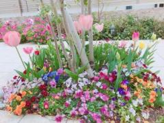 �摜(240x180)�E�g��摜(640x480)