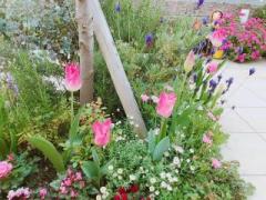 �摜(240x180)�E�g��摜(640x480)