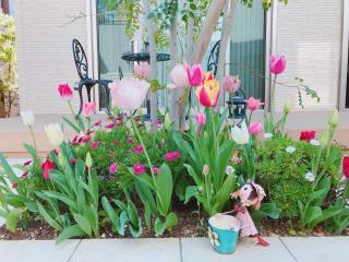 �摜(320x240)�E�g��摜(640x480)