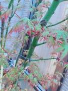 �摜(135x180)�E�g��摜(480x640)