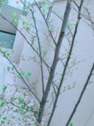 �摜(135x180)�E�g��摜(480x640)