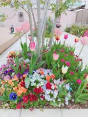 �摜(180x240)�E�g��摜(480x640)