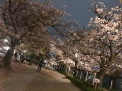 �摜(240x180)�E�g��摜(640x480)