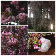 �摜(180x180)�E�g��摜(640x640)