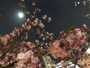 �摜(180x135)�E�g��摜(640x480)