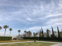 �摜(240x180)�E�g��摜(640x480)