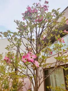 �摜(240x320)�E�g��摜(480x640)