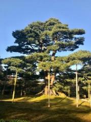 �摜(179x240)�E�g��摜(479x640)