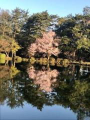 �摜(180x240)�E�g��摜(480x640)