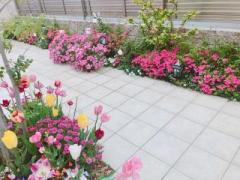 �摜(240x180)�E�g��摜(640x480)