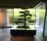 �摜(180x157)�E�g��摜(640x561)