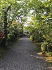 �摜(180x240)�E�g��摜(480x640)