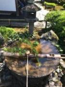 �摜(135x180)�E�g��摜(480x640)