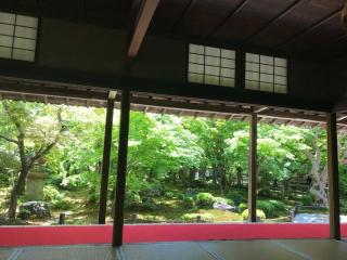 �摜(320x240)�E�g��摜(640x480)