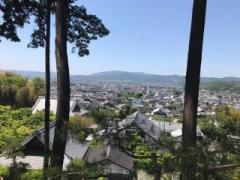 �摜(240x180)�E�g��摜(640x480)