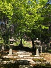 �摜(180x240)�E�g��摜(480x640)