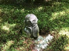 �摜(240x180)�E�g��摜(640x480)