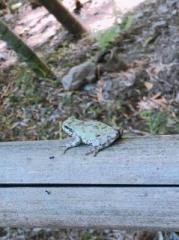 �摜(179x240)�E�g��摜(479x640)