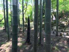 �摜(240x180)�E�g��摜(640x480)