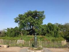 �摜(240x180)�E�g��摜(640x480)