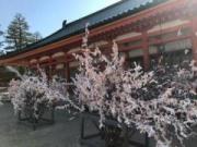 �摜(180x135)�E�g��摜(640x480)