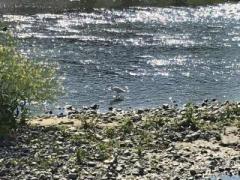 �摜(240x180)�E�g��摜(640x480)