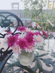 �摜(180x240)�E�g��摜(480x640)