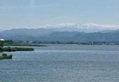 �摜(240x165)�E�g��摜(640x442)