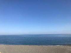 画像(240x180)・拡大画像(640x480)