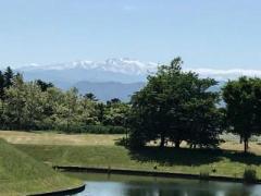 画像(240x180)・拡大画像(640x480)