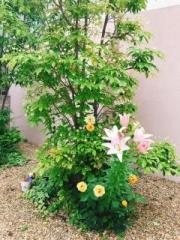 �摜(180x240)�E�g��摜(480x640)