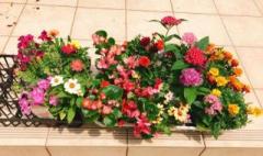 �摜(240x142)�E�g��摜(640x381)