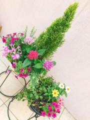 �摜(180x240)�E�g��摜(480x640)