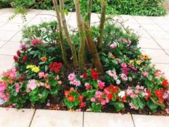 �摜(240x180)�E�g��摜(640x480)