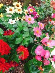 �摜(180x240)�E�g��摜(480x640)