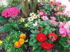 �摜(240x180)�E�g��摜(640x480)