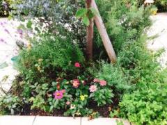 �摜(240x180)�E�g��摜(640x480)