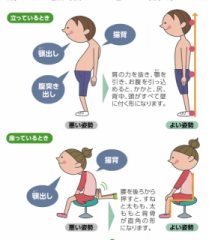 �摜(209x240)�E�g��摜(558x640)