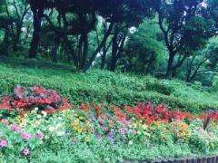 �摜(240x180)�E�g��摜(640x480)