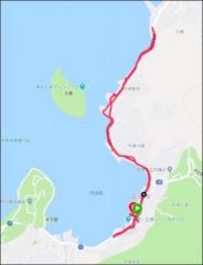 画像(184x240)・拡大画像(431x560)