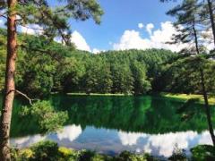 �摜(240x180)�E�g��摜(640x480)