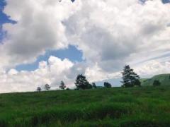 �摜(240x180)�E�g��摜(640x480)