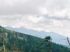 �摜(240x180)�E�g��摜(640x480)