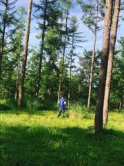 �摜(180x240)�E�g��摜(480x640)