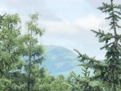 �摜(240x180)�E�g��摜(640x480)