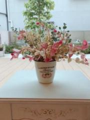 画像(180x240)・拡大画像(480x640)