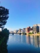 画像(135x180)・拡大画像(480x640)