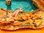 画像(180x135)・拡大画像(640x480)