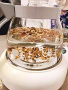 画像(135x180)・拡大画像(480x640)