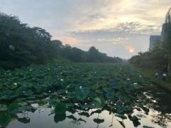 画像(240x180)・拡大画像(640x480)